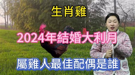 屬雞女配對|屬雞人的最佳姻緣和最差配對，找對了才幸福！ 